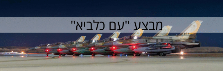 פתרונות אפקטיביים