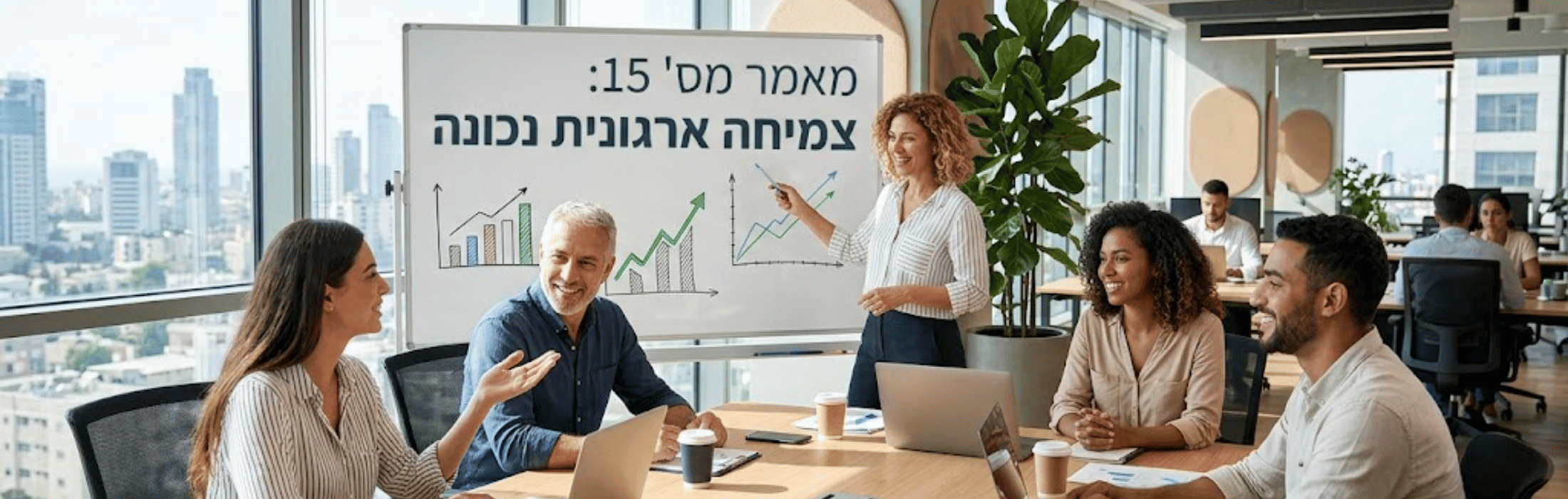 פתרונות אפקטיביים
