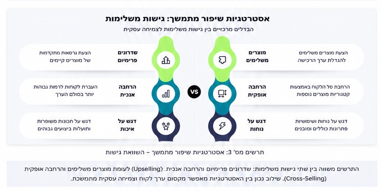 תרשים אסטרטגיות שיפור מתמשך והשוואת גישות